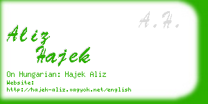 aliz hajek business card